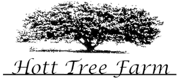 Hott Tree Farm