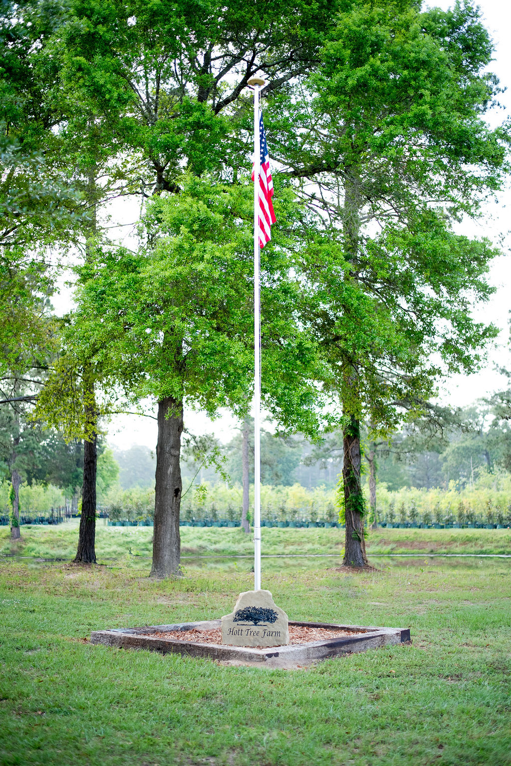 69dfc06a184a6_20260409-DSC_9836